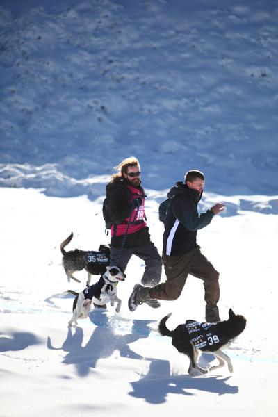 The winners of the Speight's Dog Derby sprint to the finsh line